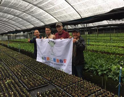 绿植租摆 租花 办公室绿植 办公室绿植租赁 办公室绿植出租 北京彩易缤纷花卉有限公司 绿植租摆 租花 办公室绿植 办公室绿植租赁 办公室绿植出租
